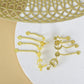 Chandpath Earrings
